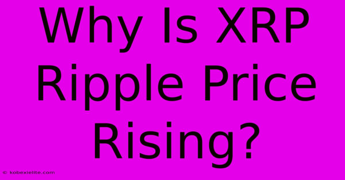 Why Is XRP Ripple Price Rising?