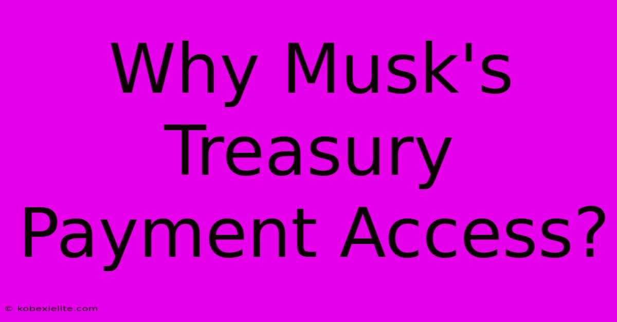 Why Musk's Treasury Payment Access?