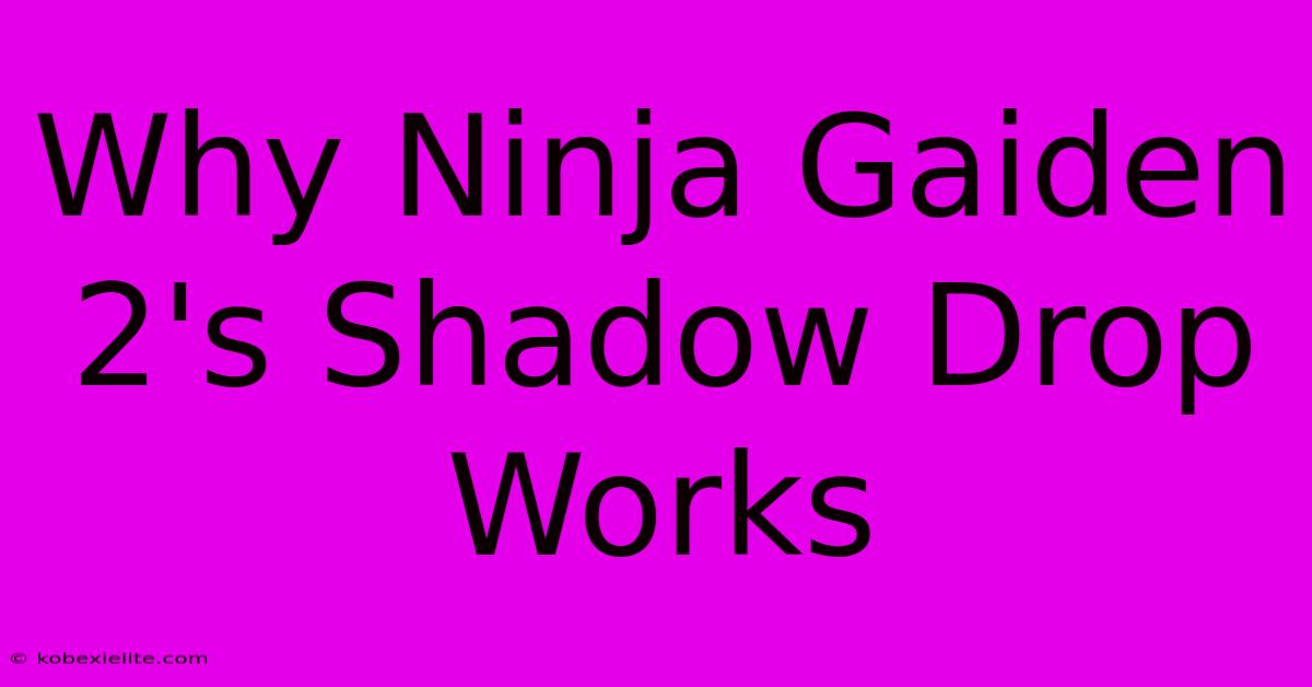 Why Ninja Gaiden 2's Shadow Drop Works