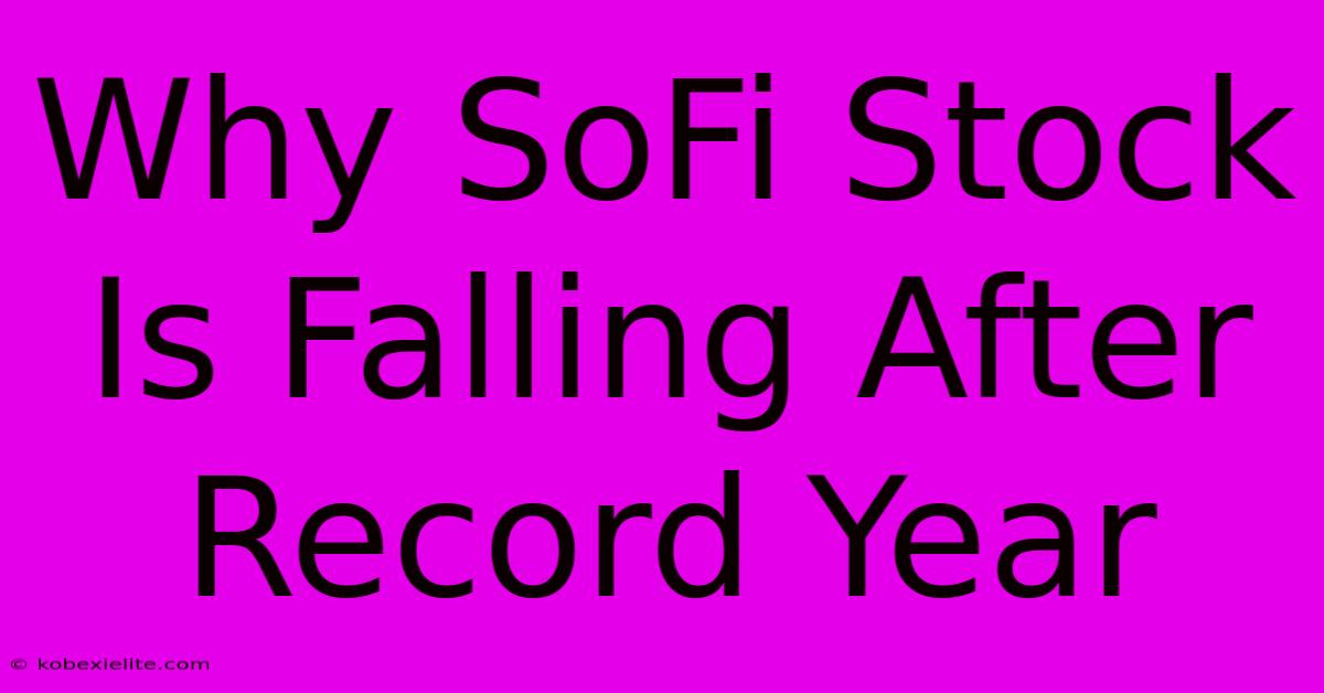 Why SoFi Stock Is Falling After Record Year