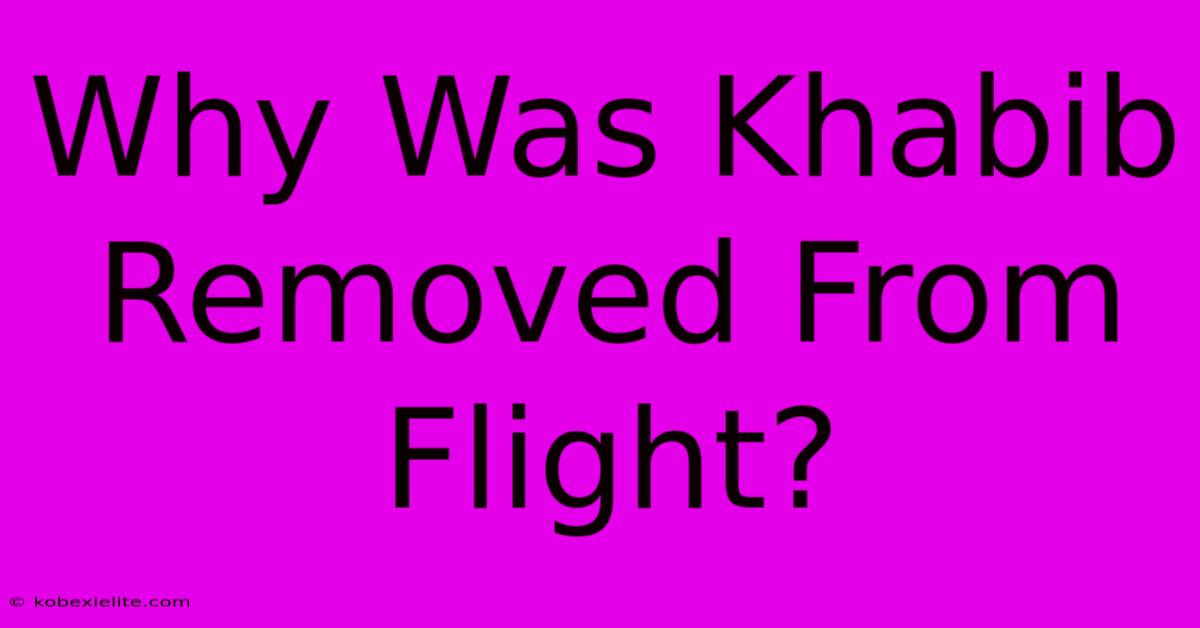 Why Was Khabib Removed From Flight?