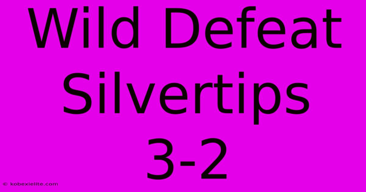 Wild Defeat Silvertips 3-2 Wild Defeat Silvertips 3-2