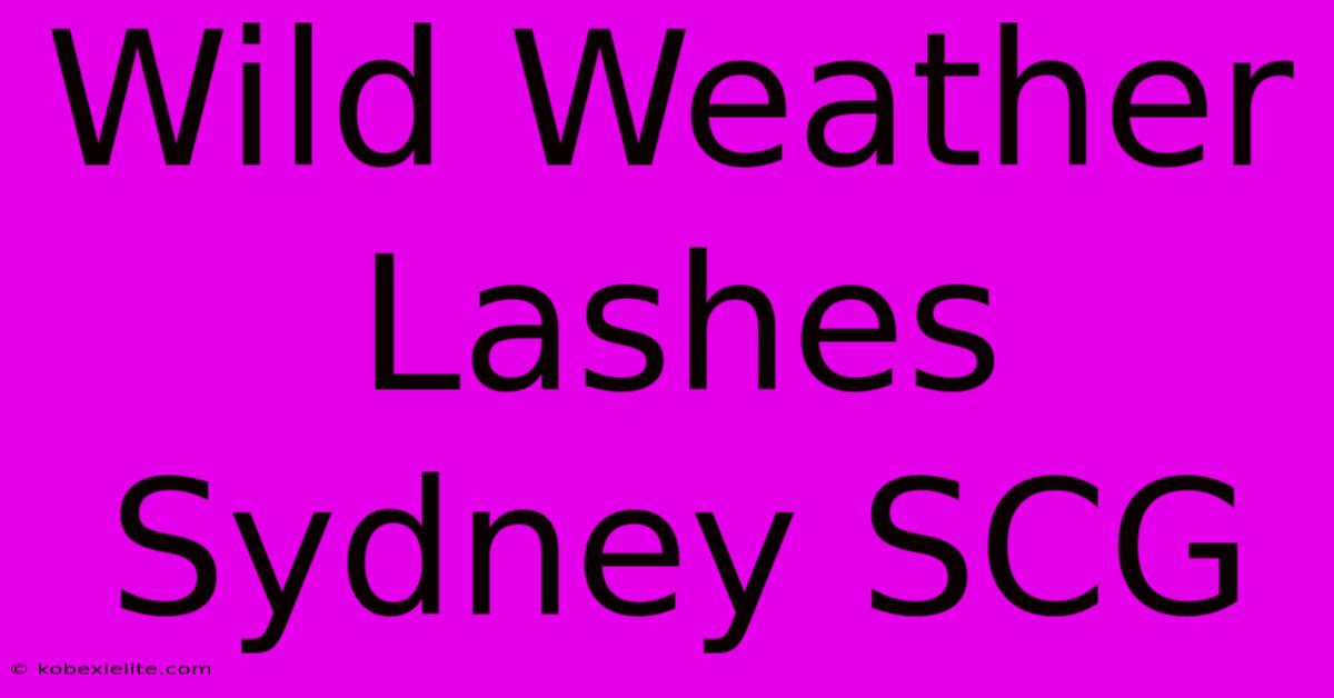 Wild Weather Lashes Sydney SCG