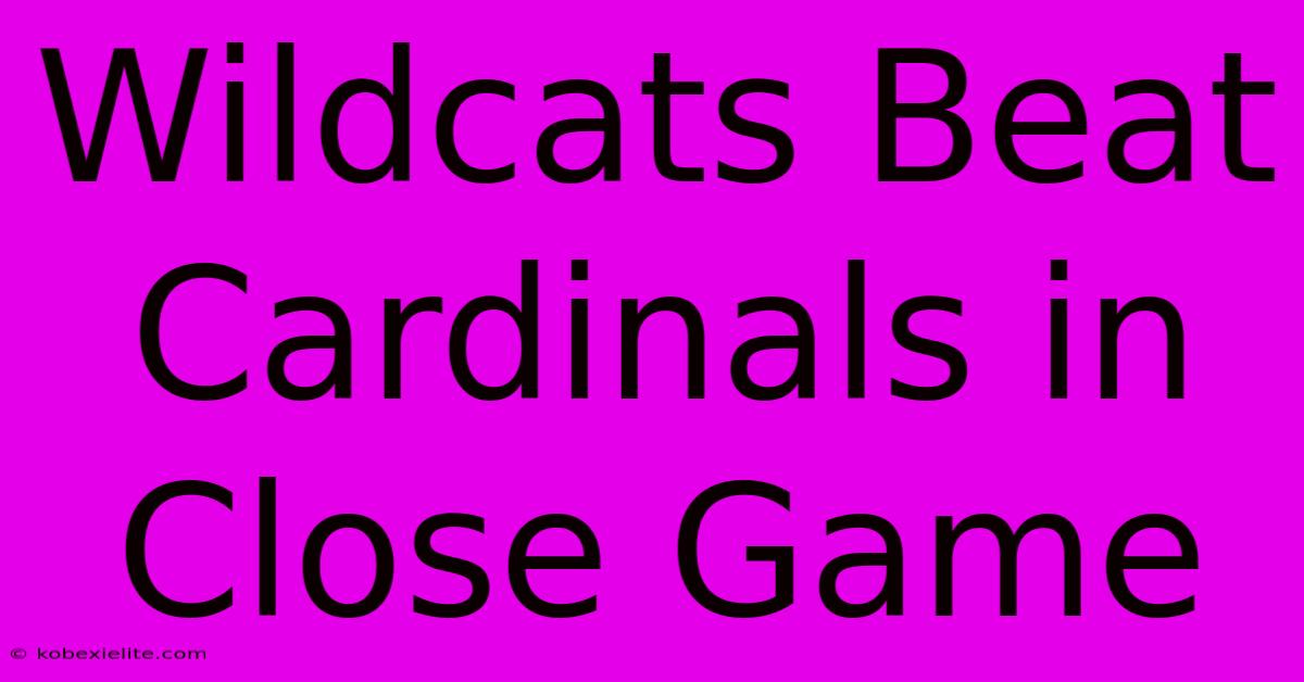 Wildcats Beat Cardinals In Close Game Wildcats Beat Cardinals In Close Game