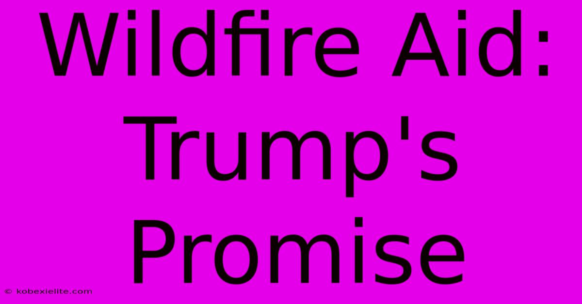 Wildfire Aid: Trump's Promise