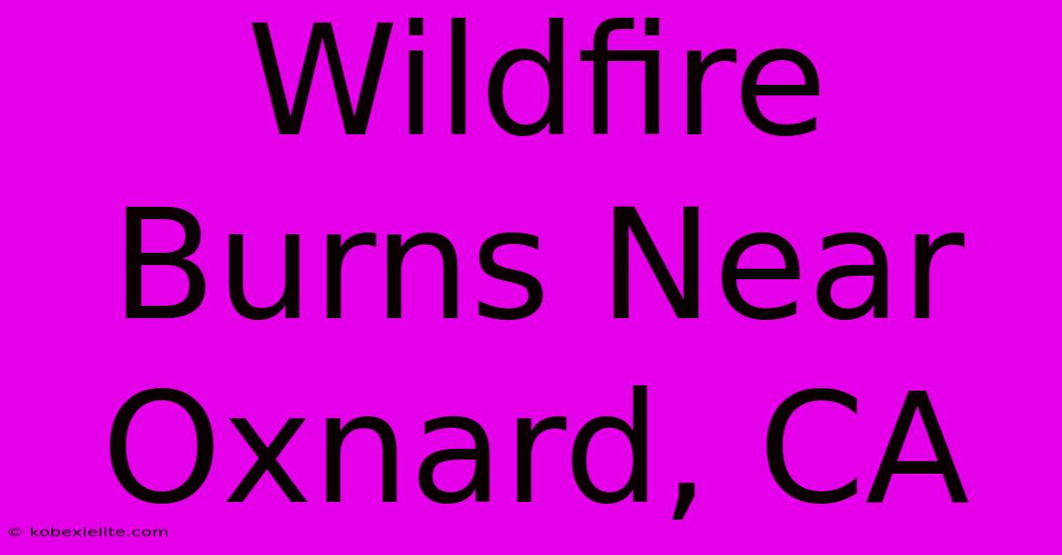 Wildfire Burns Near Oxnard, CA