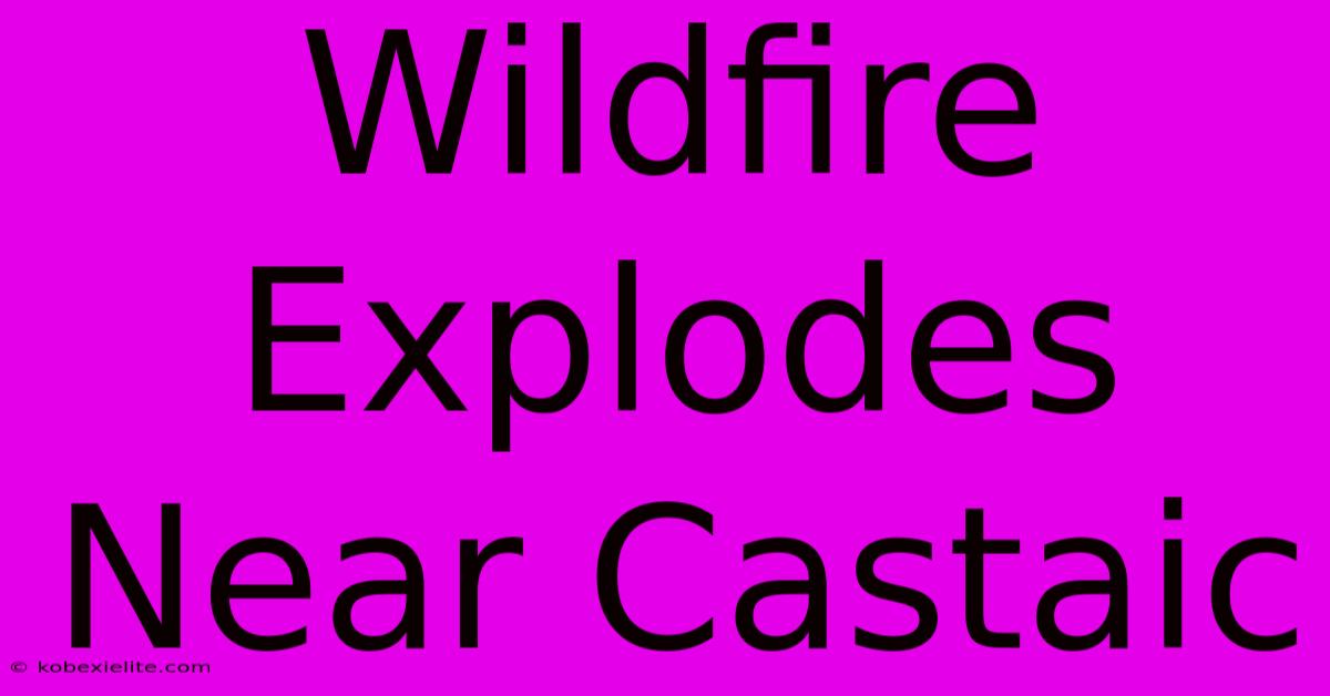 Wildfire Explodes Near Castaic