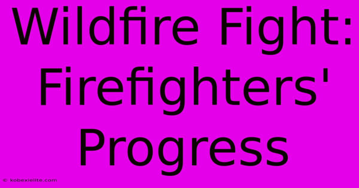 Wildfire Fight: Firefighters' Progress