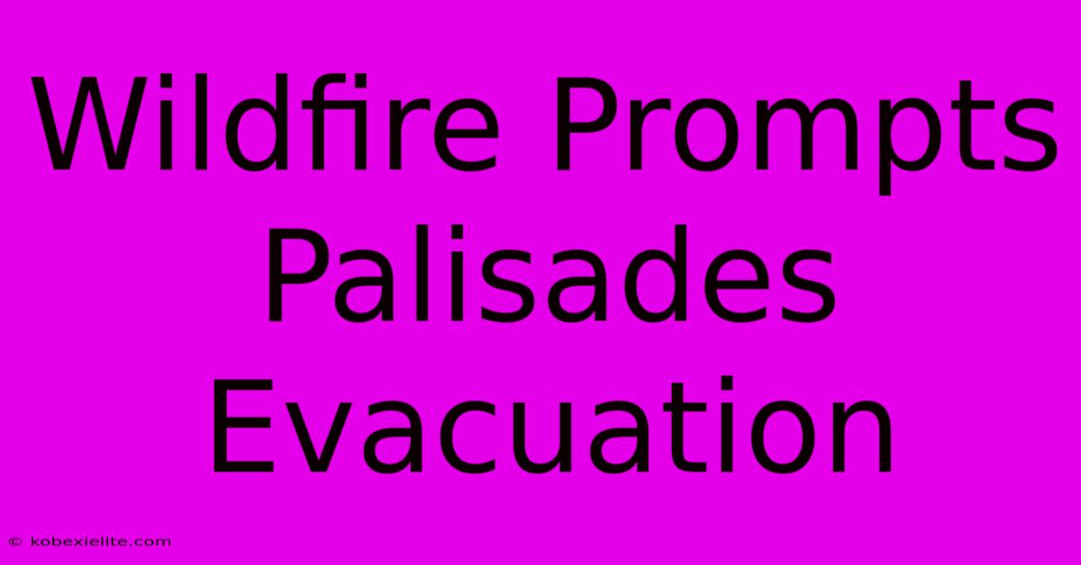 Wildfire Prompts Palisades Evacuation