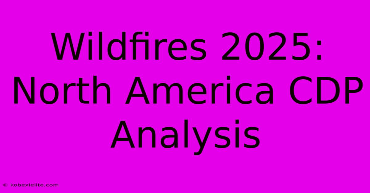 Wildfires 2025: North America CDP Analysis