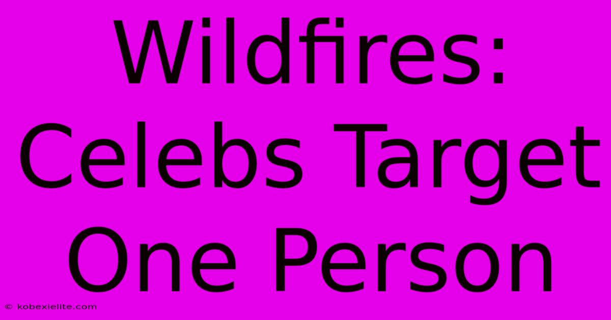 Wildfires: Celebs Target One Person