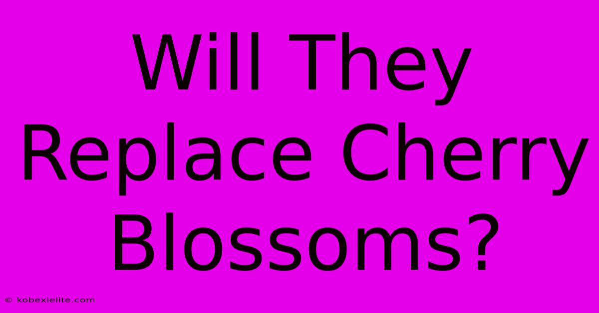 Will They Replace Cherry Blossoms?