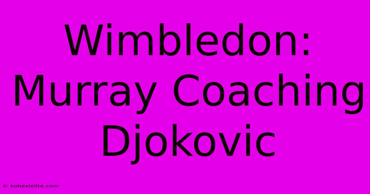 Wimbledon: Murray Coaching Djokovic