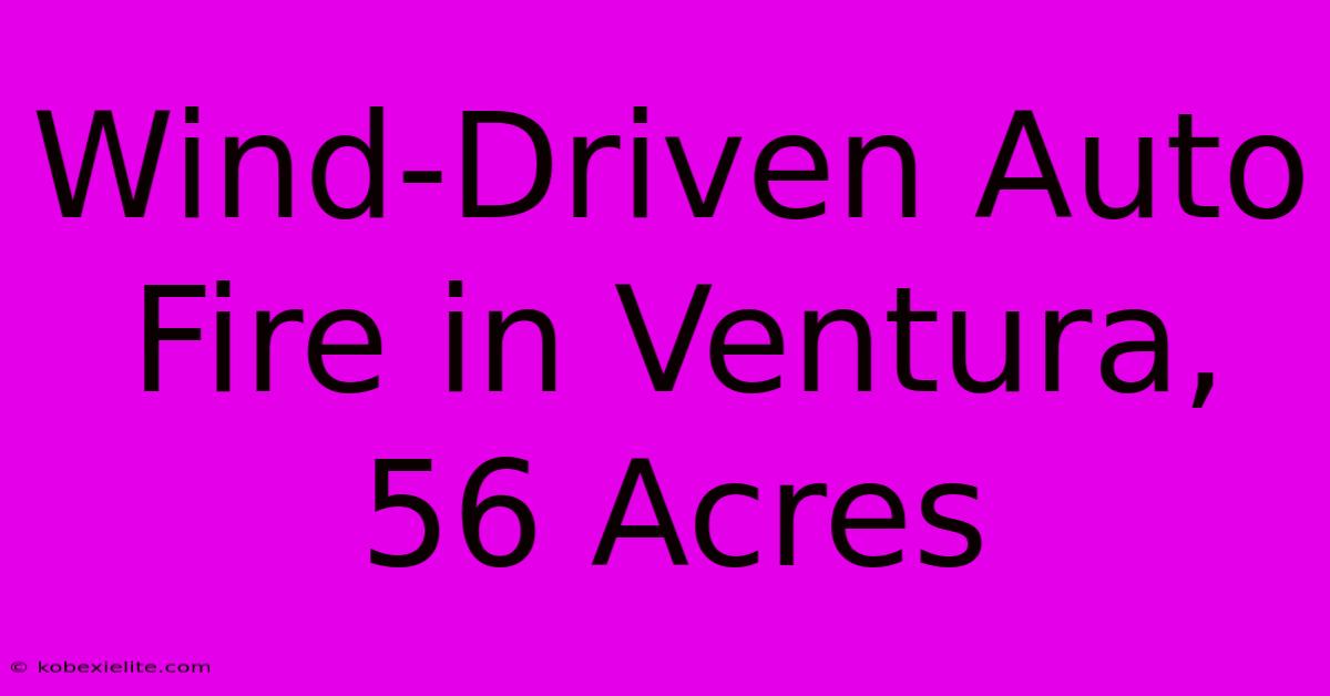 Wind-Driven Auto Fire In Ventura, 56 Acres