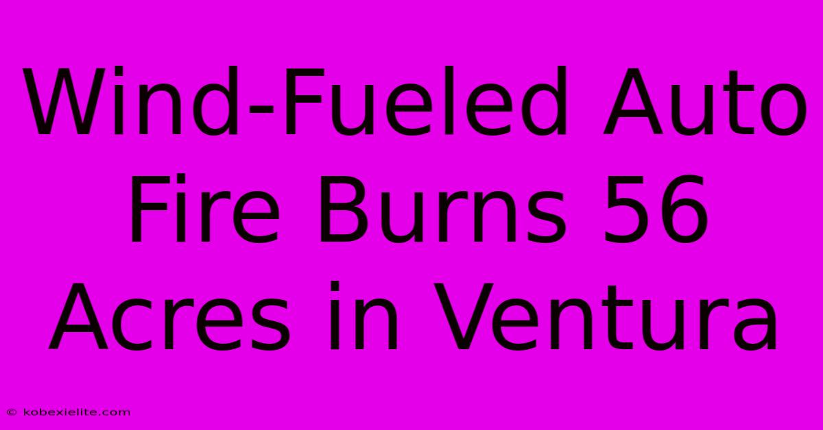 Wind-Fueled Auto Fire Burns 56 Acres In Ventura