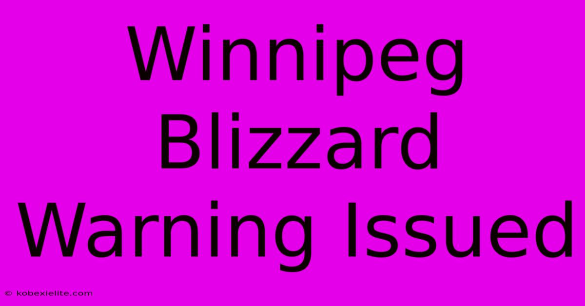 Winnipeg Blizzard Warning Issued