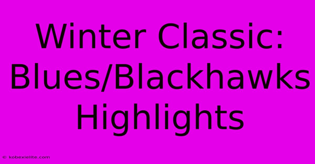 Winter Classic: Blues/Blackhawks Highlights