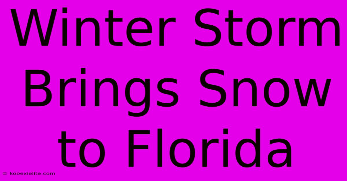 Winter Storm Brings Snow To Florida