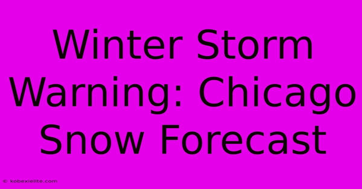 Winter Storm Warning: Chicago Snow Forecast