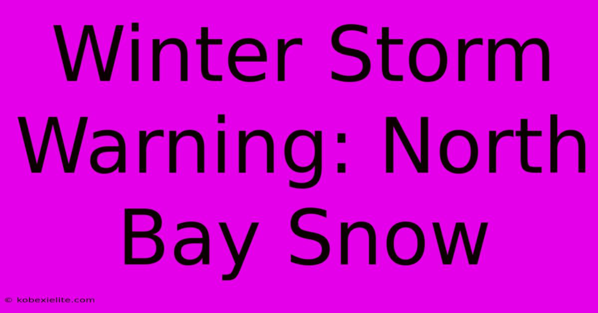 Winter Storm Warning: North Bay Snow