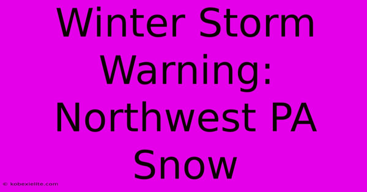 Winter Storm Warning: Northwest PA Snow