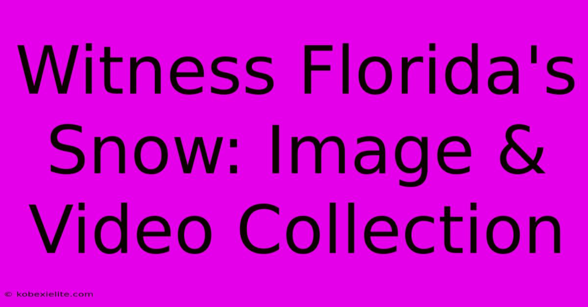 Witness Florida's Snow: Image & Video Collection