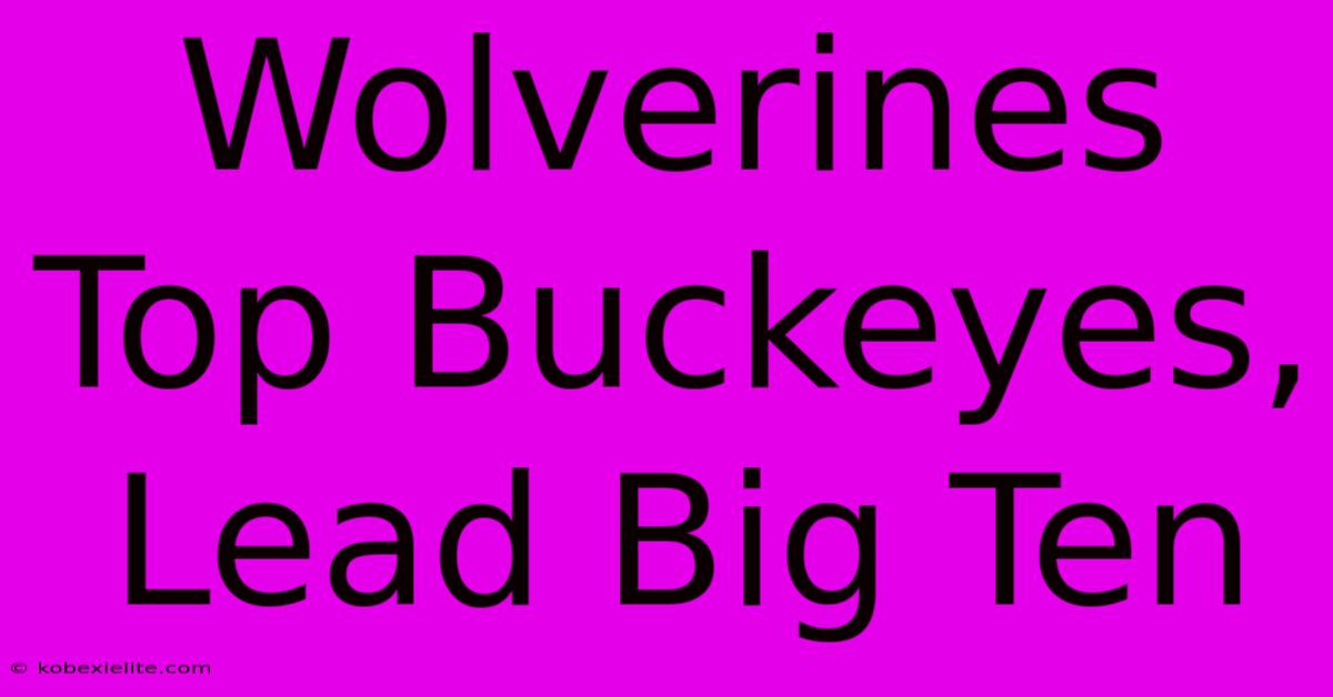 Wolverines Top Buckeyes, Lead Big Ten