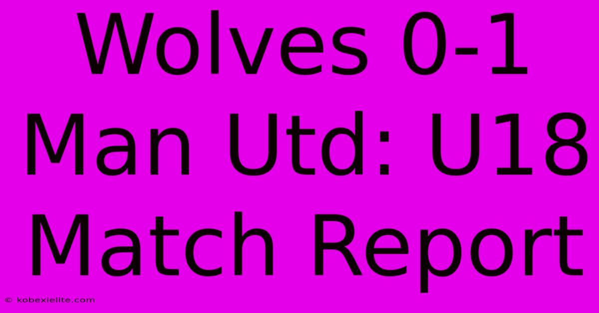 Wolves 0-1 Man Utd: U18 Match Report