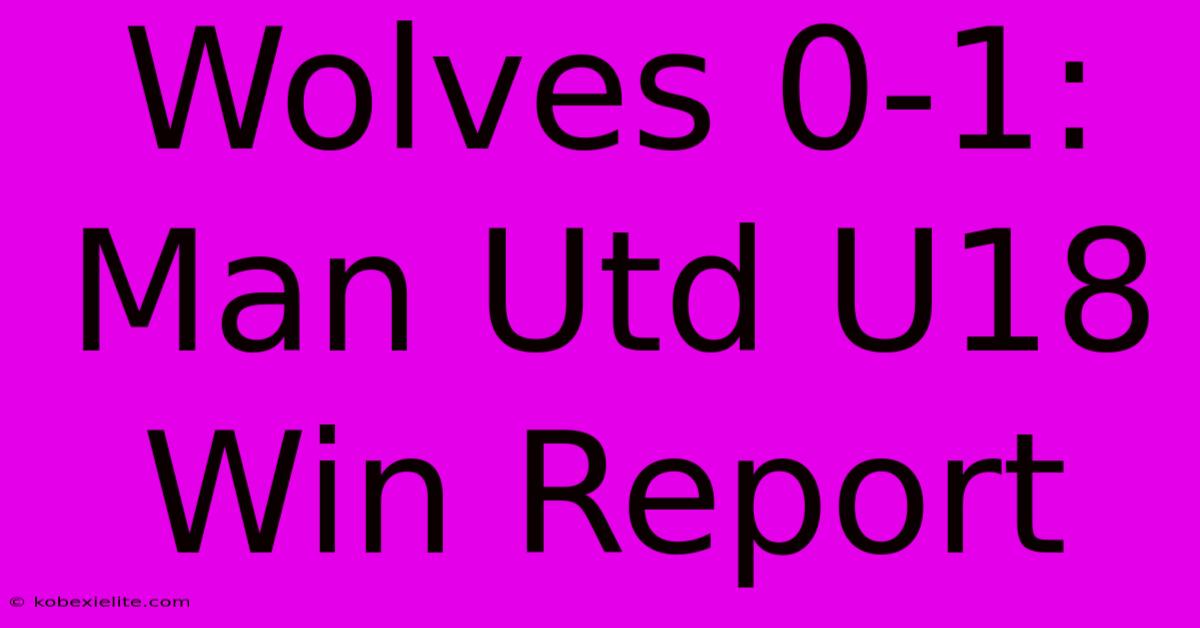 Wolves 0-1: Man Utd U18 Win Report