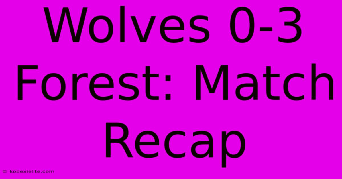 Wolves 0-3 Forest: Match Recap