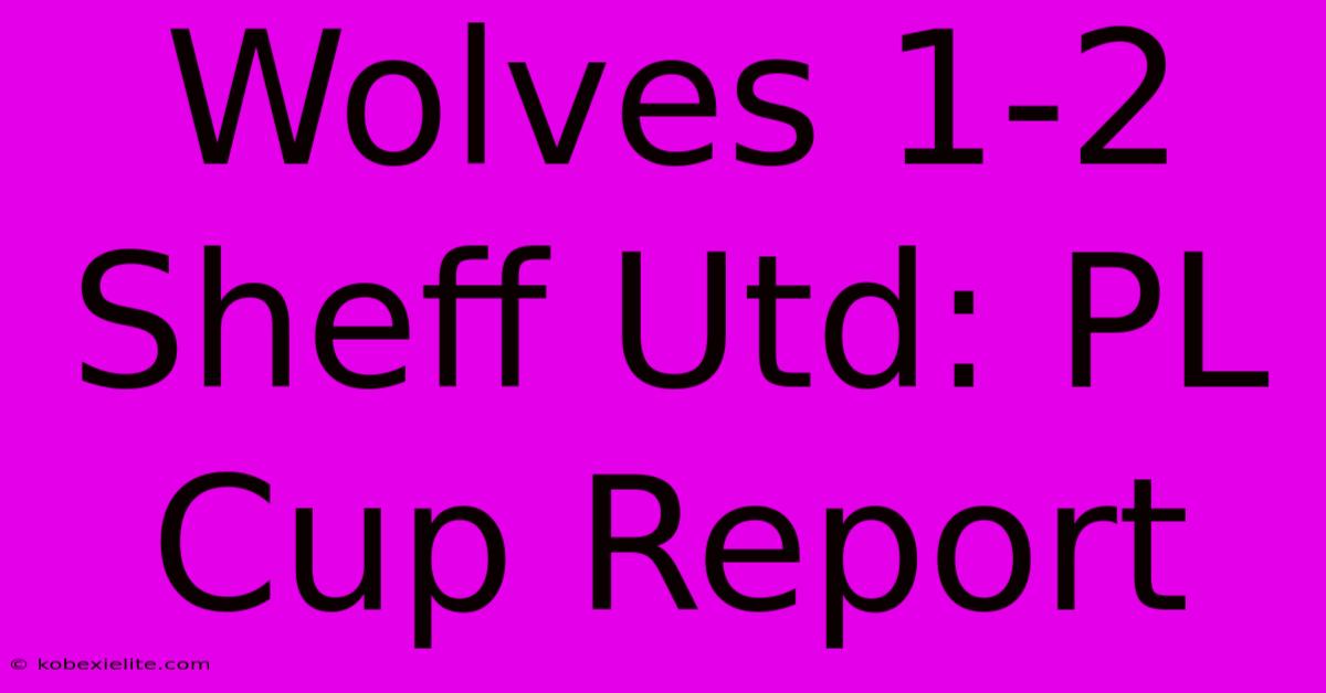 Wolves 1-2 Sheff Utd: PL Cup Report