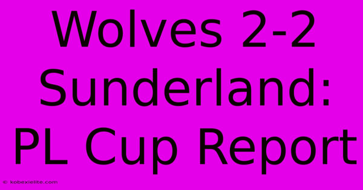 Wolves 2-2 Sunderland: PL Cup Report