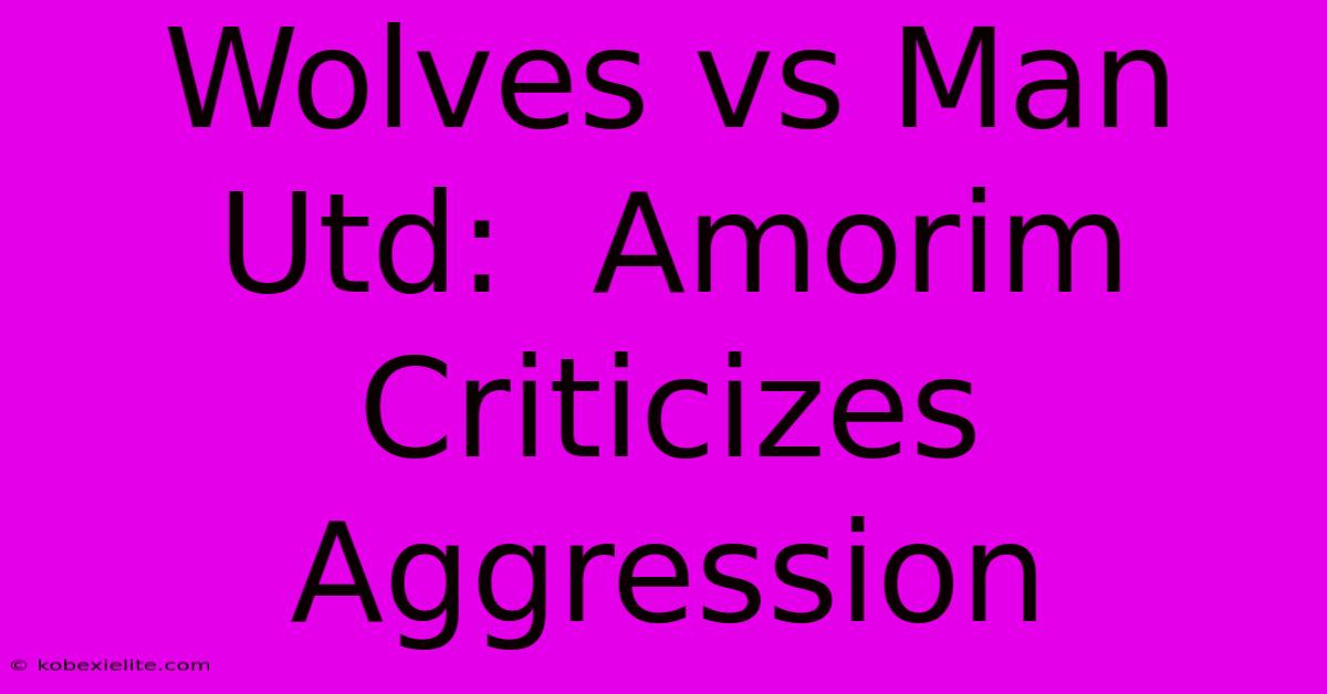 Wolves Vs Man Utd:  Amorim Criticizes Aggression