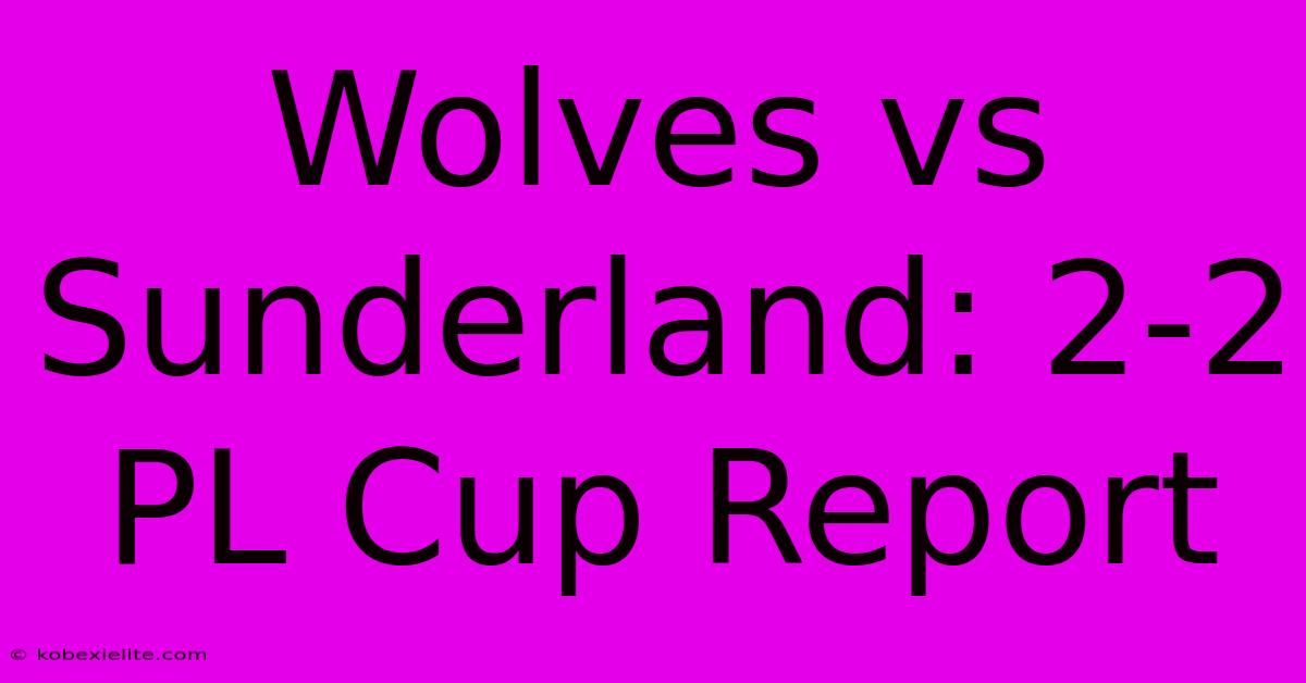 Wolves Vs Sunderland: 2-2 PL Cup Report