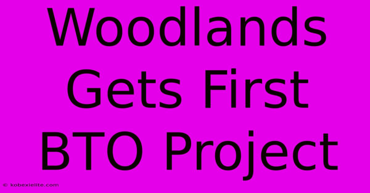 Woodlands Gets First BTO Project