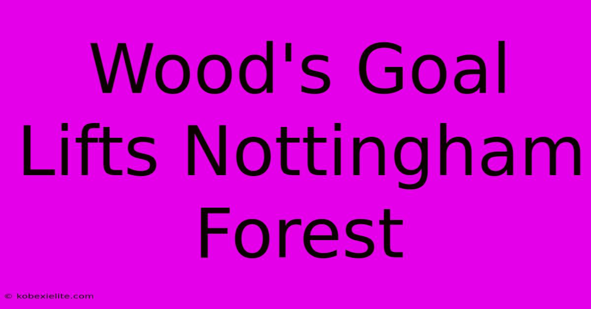 Wood's Goal Lifts Nottingham Forest