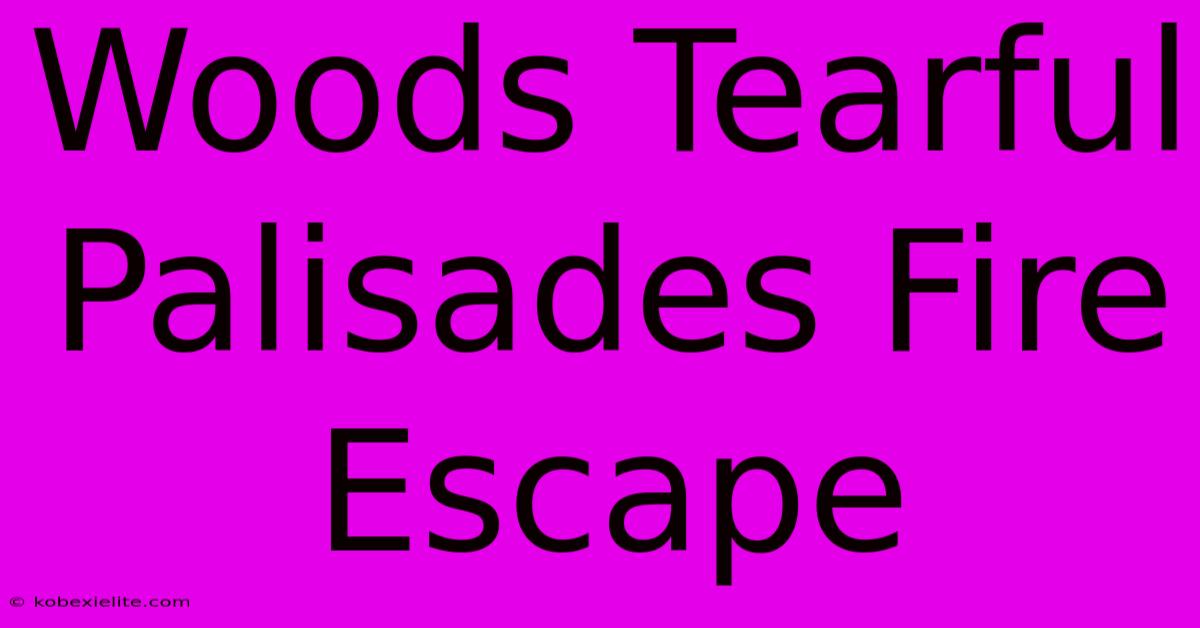 Woods Tearful Palisades Fire Escape