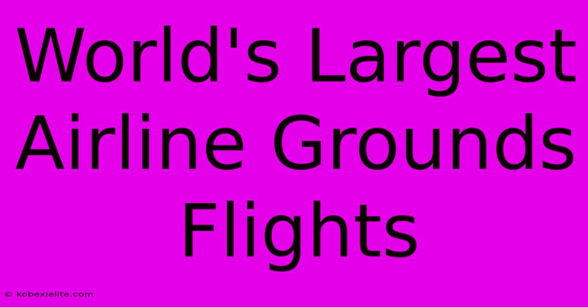 World's Largest Airline Grounds Flights