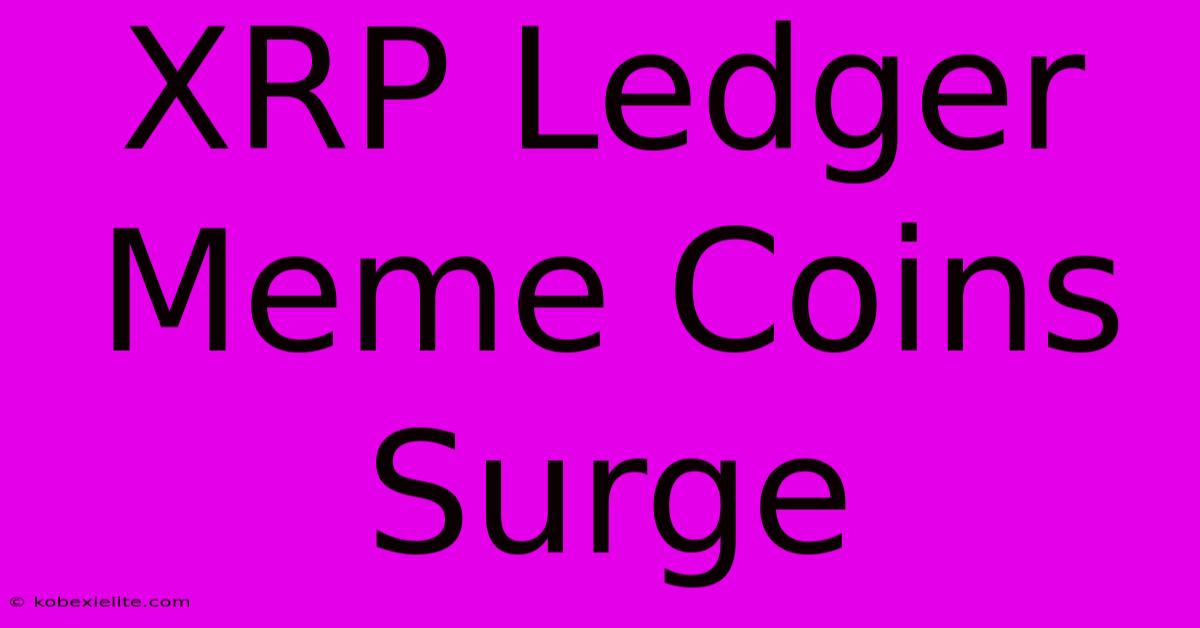 XRP Ledger Meme Coins Surge