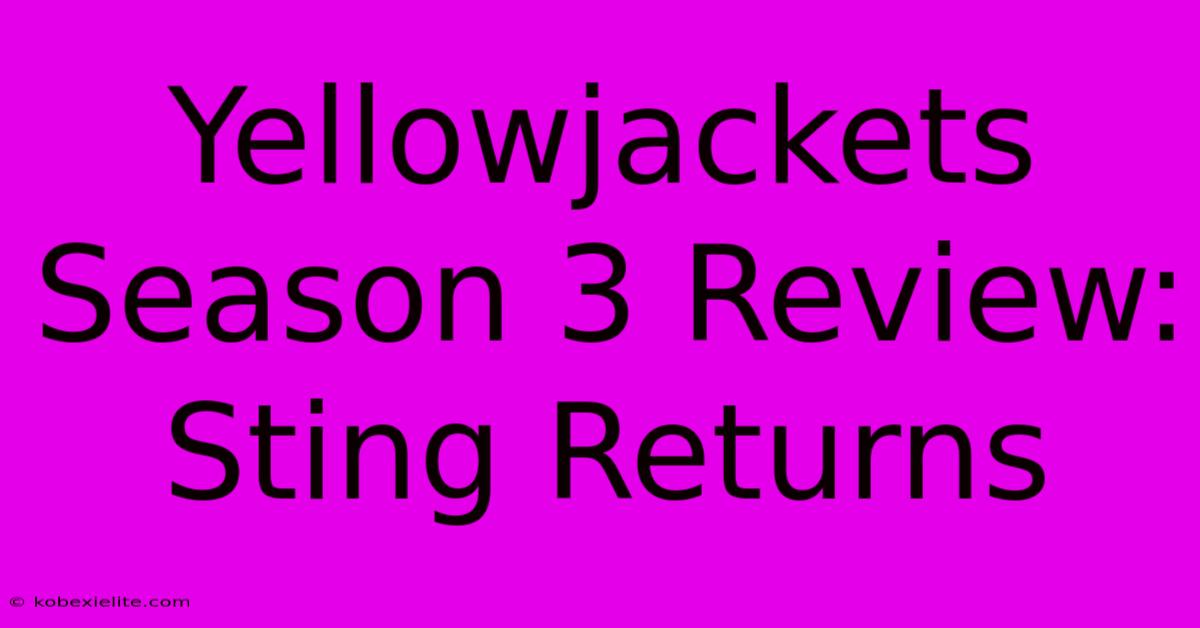 Yellowjackets Season 3 Review: Sting Returns