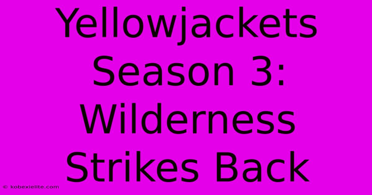 Yellowjackets Season 3: Wilderness Strikes Back