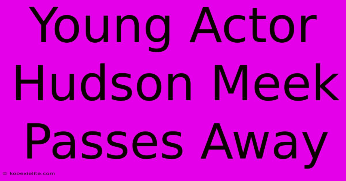 Young Actor Hudson Meek Passes Away