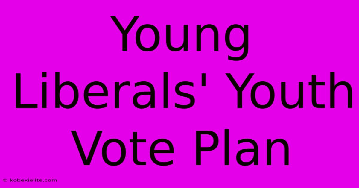 Young Liberals' Youth Vote Plan