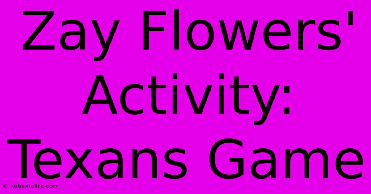 Zay Flowers' Activity: Texans Game